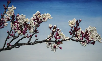 Katharina Gierlach: Mandelblüten