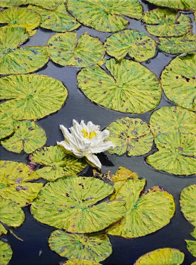 Katharina Gierlach: Nymphaea alba I