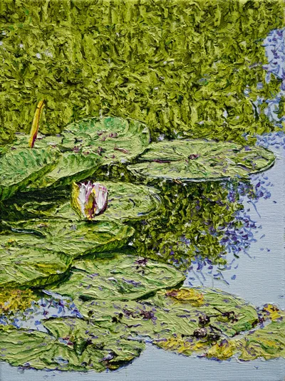 Katharina Gierlach: Nymphaea alba III