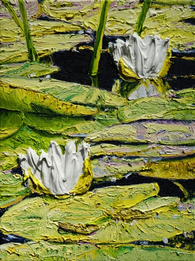 Doppelklick öffnet Großansicht Nymphaea alba II (Am Scheerbach)