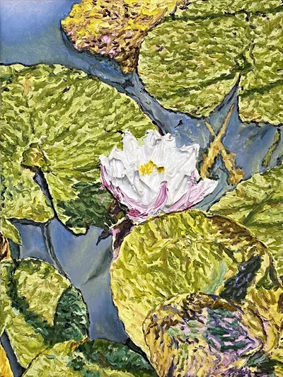 Katharina Gierlach: Nymphaea alba VI - Königshain