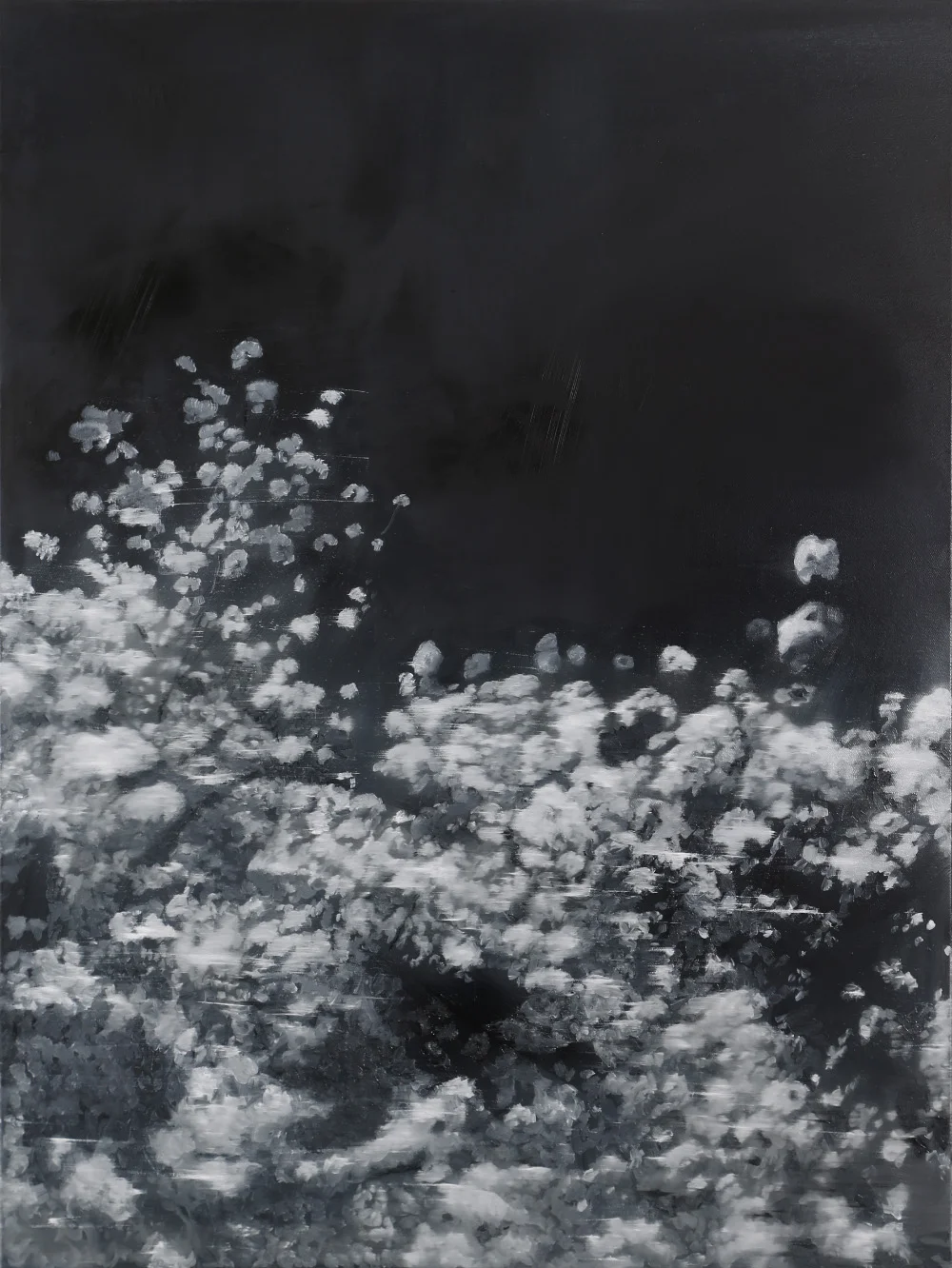 Blossom