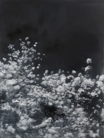 Blossom