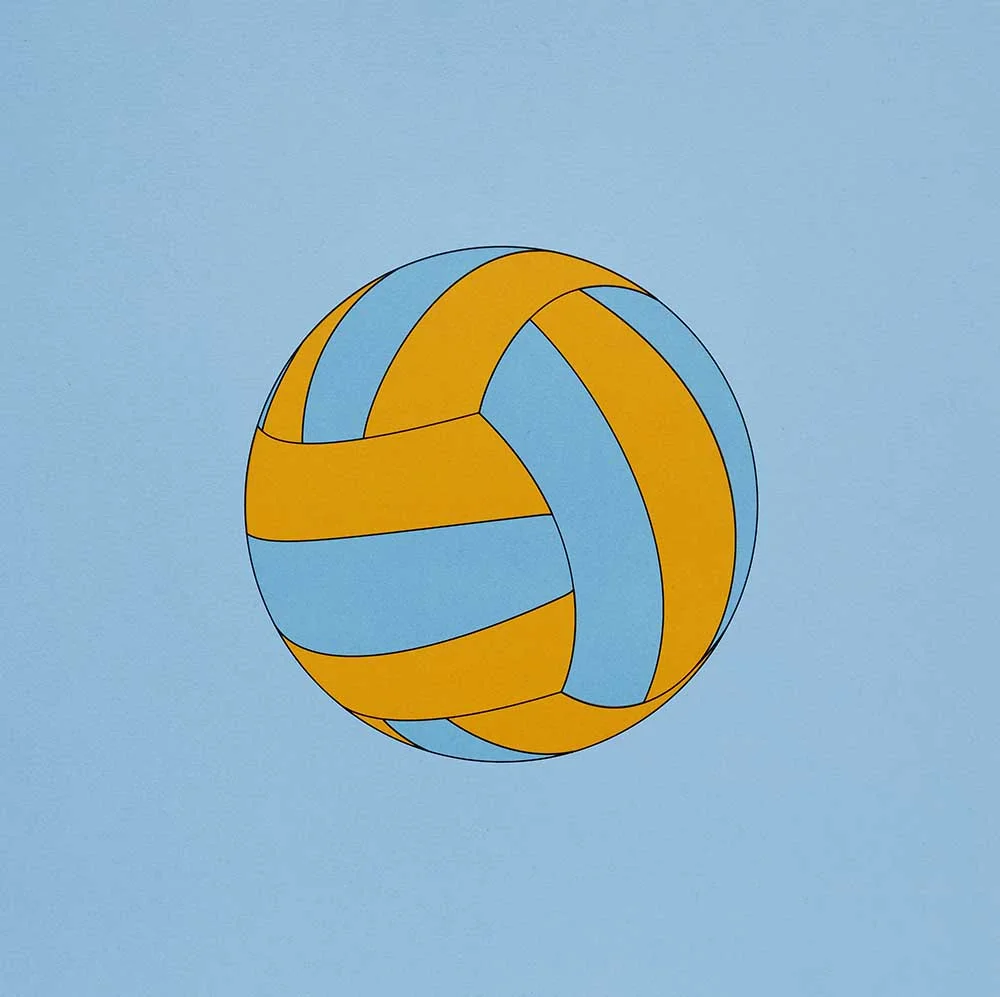 Sports Balls (Volleyball)