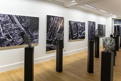 Blick in die Ausstellung 1