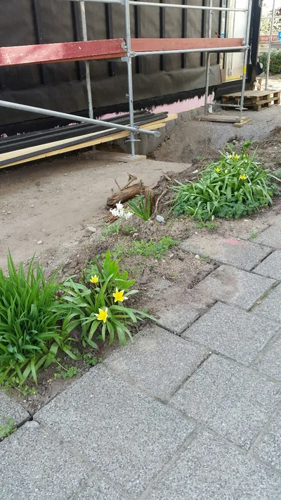 Doppelklick öffnet Großansicht
