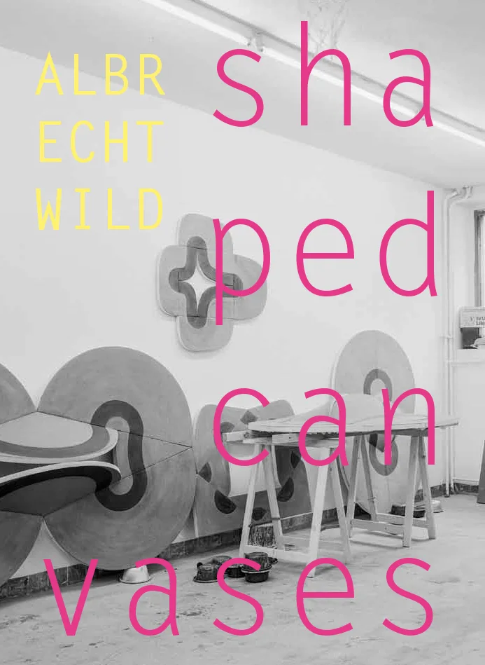 Shaped Canvases