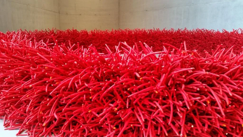 Bean Finneran im Kunstverein Reutlingen