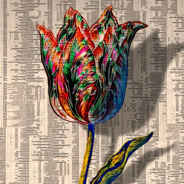 Gordon Cheung